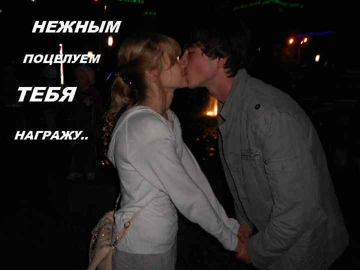  НЕЖНЫМ ПОЦЕЛУЕМ  ТЕБЯ НАГРАЖУ. . 