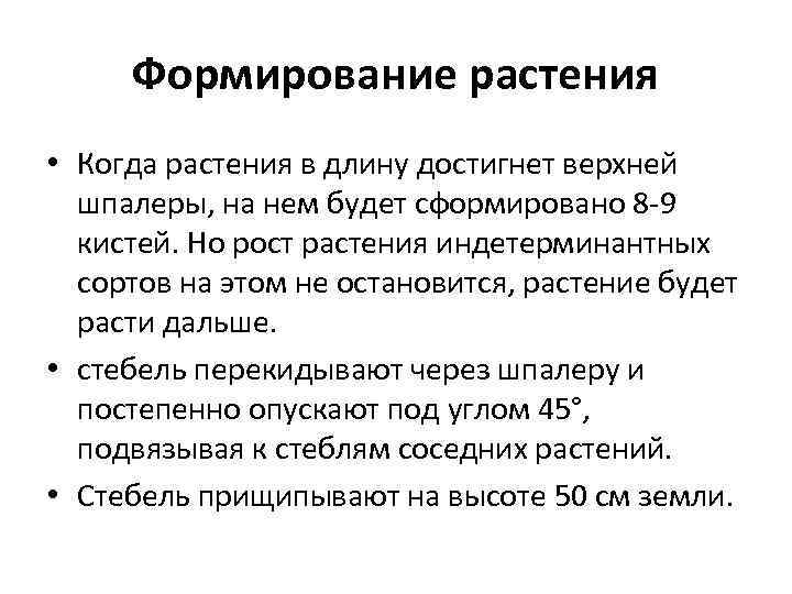  Формирование растения • Когда растения в длину достигнет верхней  шпалеры, на нем
