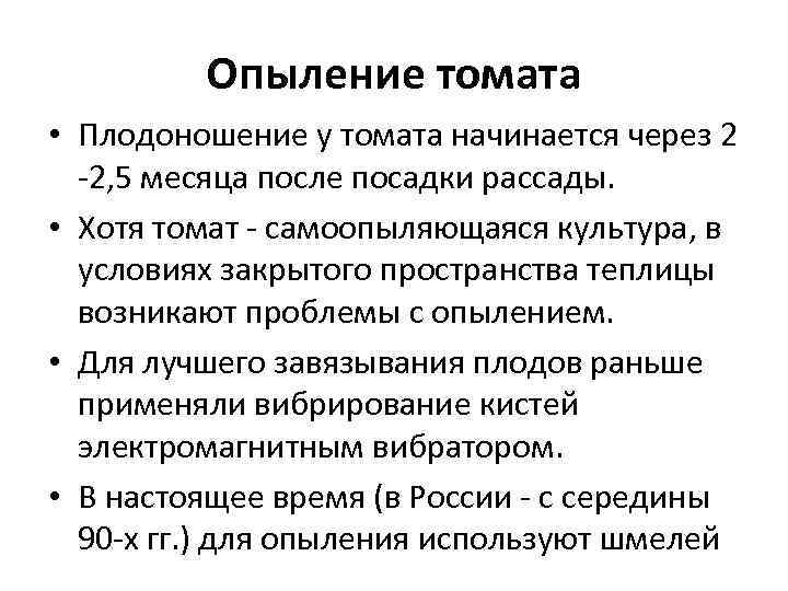    Опыление томата • Плодоношение у томата начинается через 2  -2,