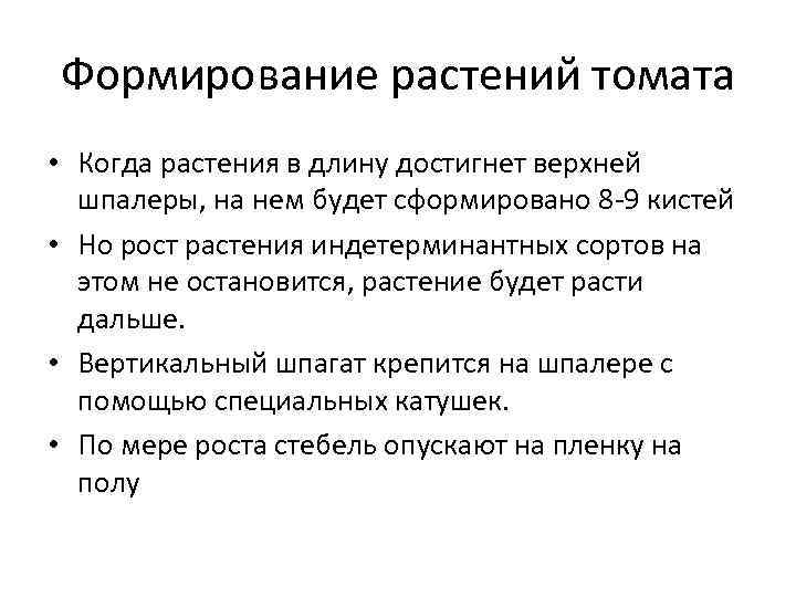 Формирование растений томата • Когда растения в длину достигнет верхней  шпалеры, на нем
