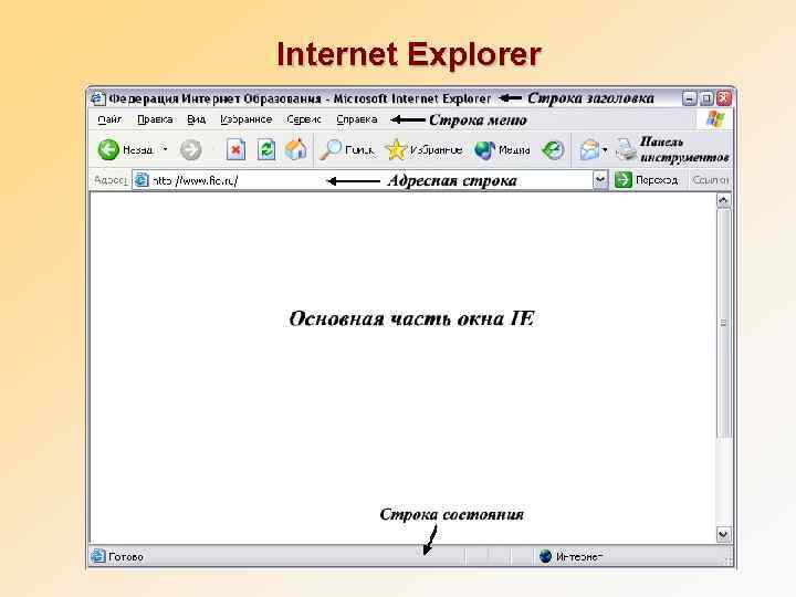  Internet Explorer 