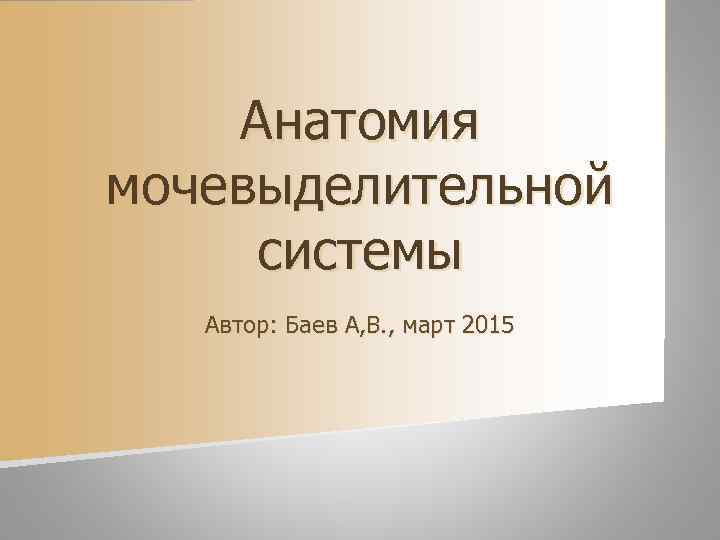   Анатомия мочевыделительной системы  Автор: Баев А, В. , март 2015 