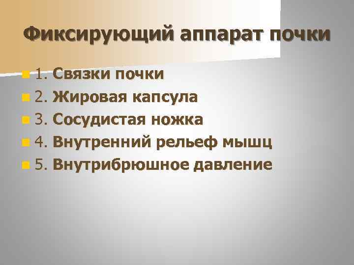 Фиксирующий аппарат почки n 1. Связки почки n 2. Жировая капсула n 3. Сосудистая