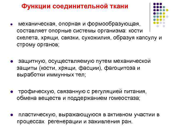  Функции соединительной ткани l  механическая, опорная и формообразующая,  составляет опорные системы