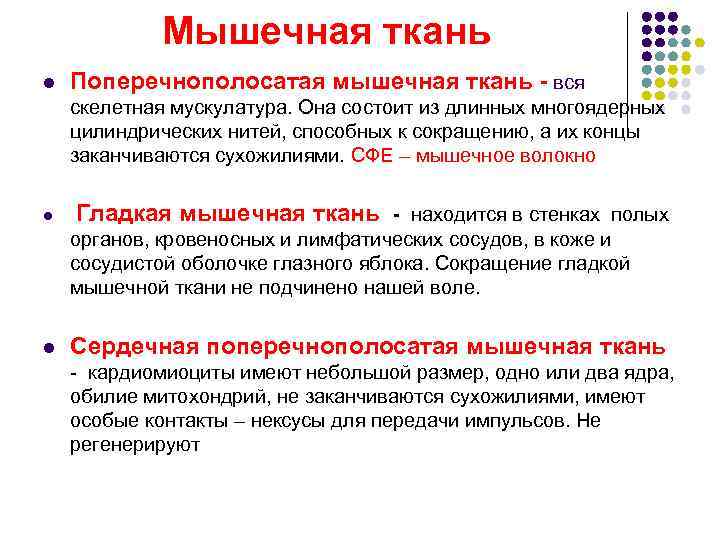    Мышечная ткань l  Поперечнополосатая мышечная ткань - вся  скелетная