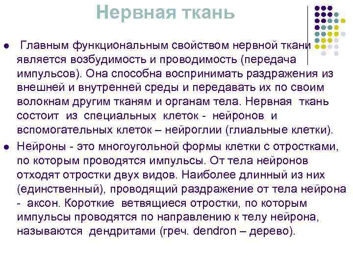    Нервная ткань l  Главным функциональным свойством нервной ткани является возбудимость