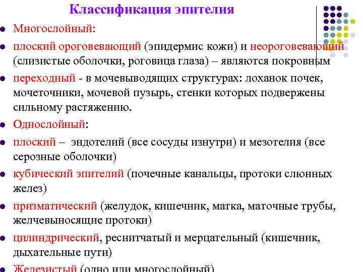    Классификация эпителия l  Многослойный: l  плоский ороговевающий (эпидермис кожи)