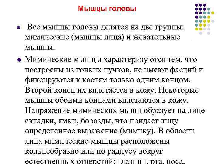    Мышцы головы l  Все мышцы головы делятся на две группы: