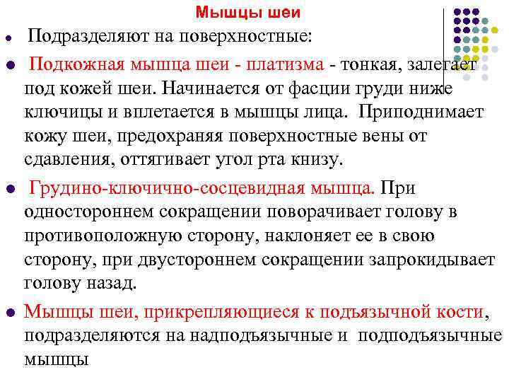      Мышцы шеи l  Подразделяют на поверхностные: l 