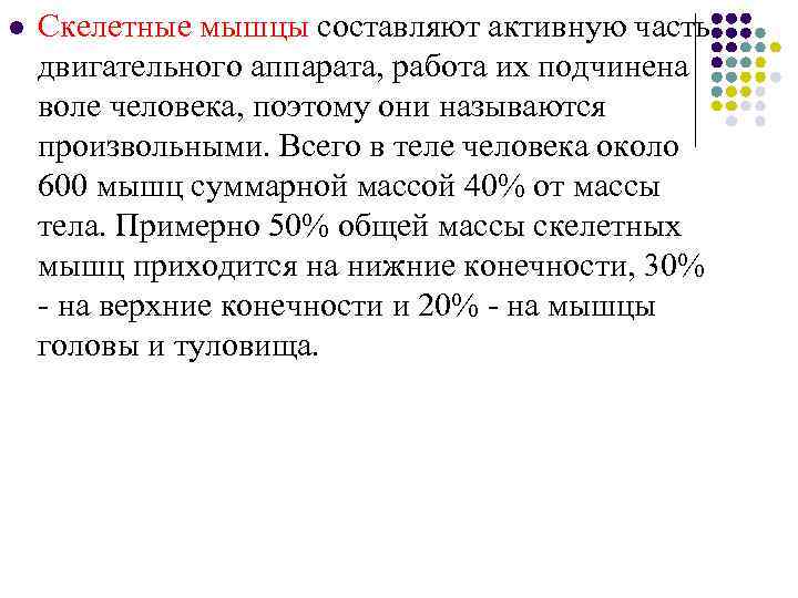 l  Скелетные мышцы составляют активную часть двигательного аппарата, работа их подчинена воле человека,