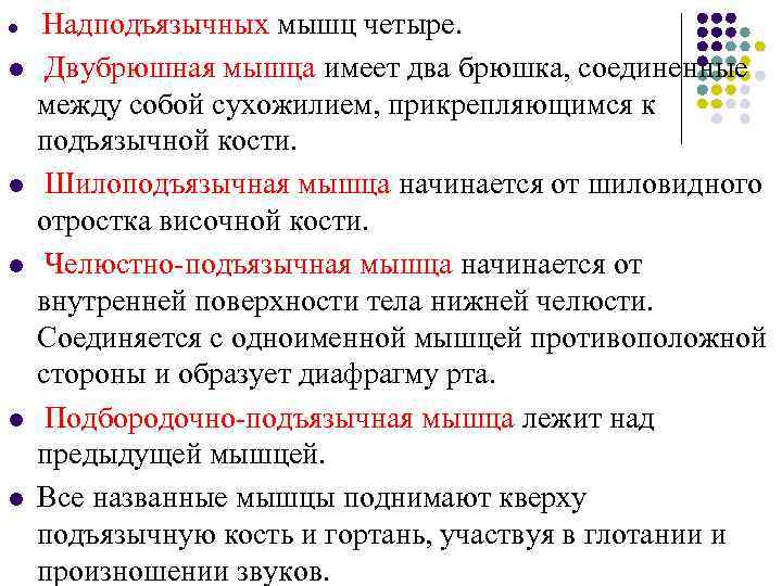 l  Надподъязычных мышц четыре.  l  Двубрюшная мышца имеет два брюшка, соединенные