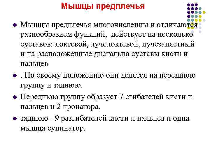    Мышцы предплечья l  Мышцы предплечья многочисленны и отличаются разнообразием функций,