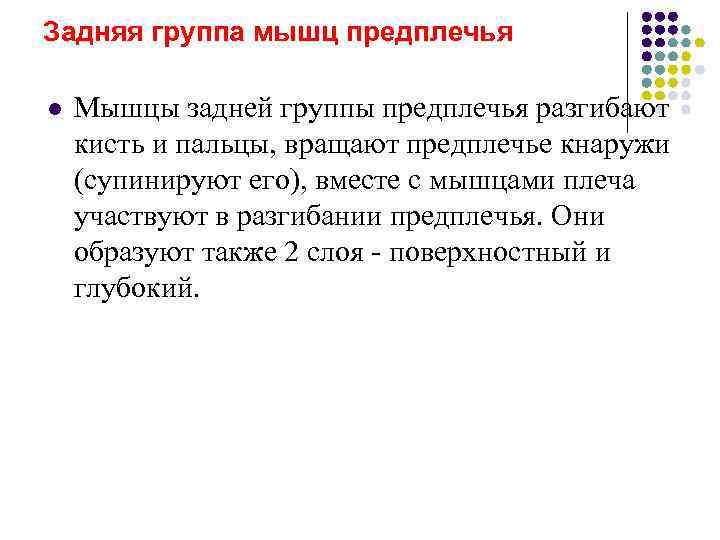 Задняя группа мышц предплечья l  Мышцы задней группы предплечья разгибают кисть и пальцы,