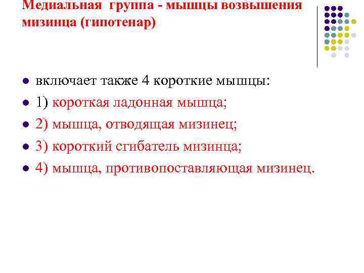 Медиальная группа - мышцы возвышения мизинца (гипотенар)  l  включает также 4 короткие