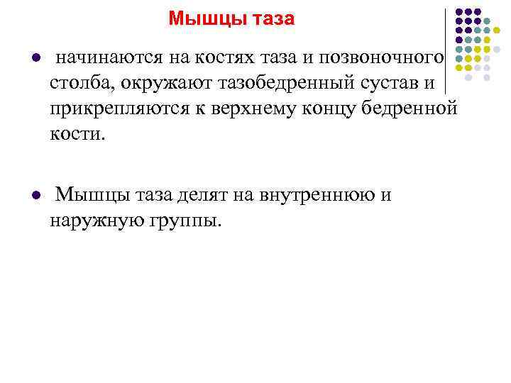     Мышцы таза l  начинаются на костях таза и позвоночного