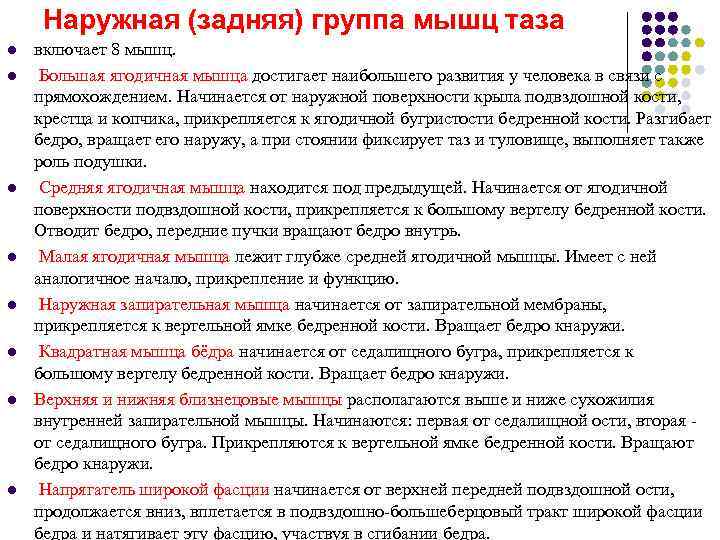  Наружная (задняя) группа мышц таза l  включает 8 мышц. l  Большая