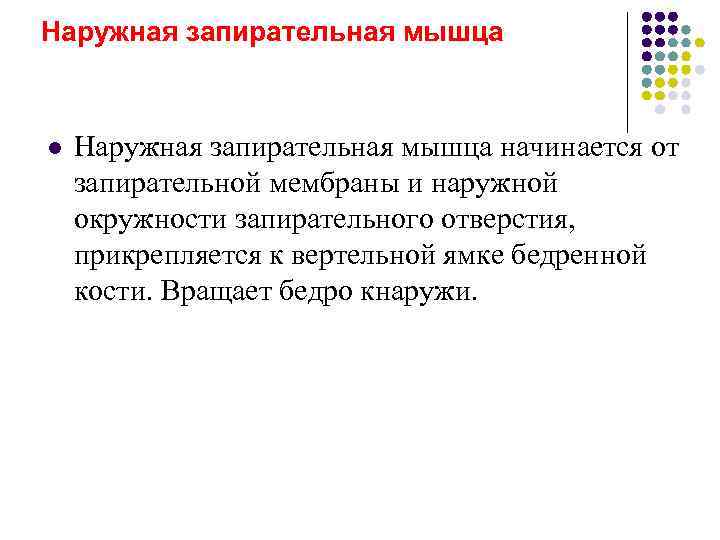 Наружная запирательная мышца  l  Наружная запирательная мышца начинается от запирательной мембраны и