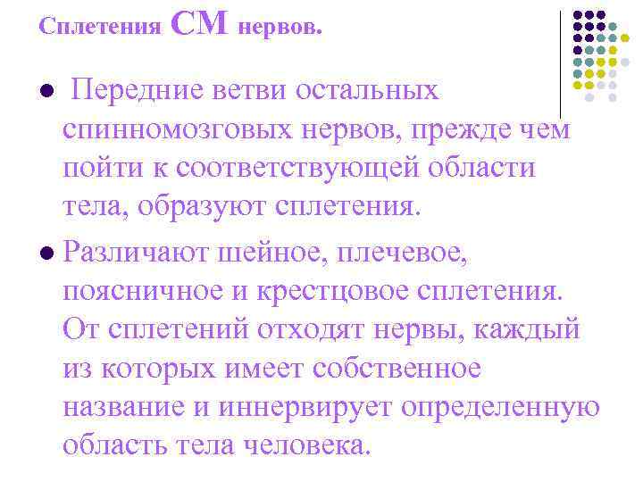 Сплетения СМ нервов. l Передние ветви остальных спинномозговых нервов, прежде чем Сплетения СМ нервов. l Передние ветви остальных спинномозговых нервов, прежде чем