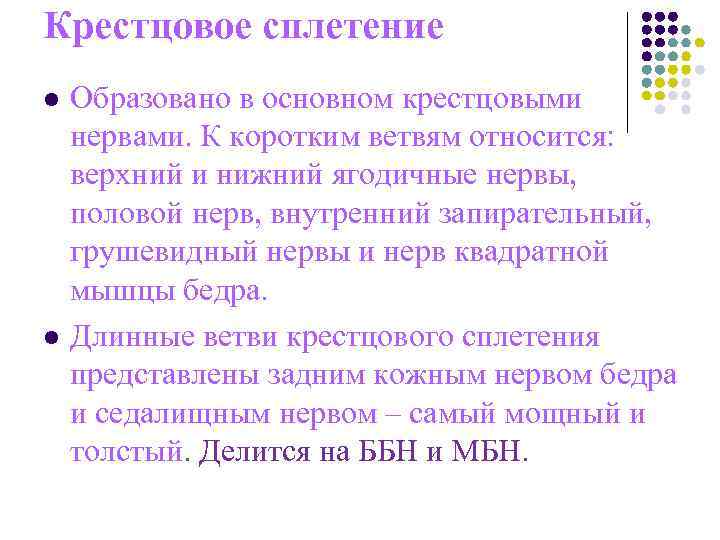 Крестцовое сплетение l Образовано в основном крестцовыми нервами. К коротким ветвям относится: Крестцовое сплетение l Образовано в основном крестцовыми нервами. К коротким ветвям относится: