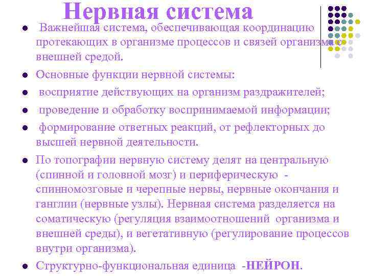 Нервная система l Важнейшая система, обеспечивающая координацию протекающих в организме процессов Нервная система l Важнейшая система, обеспечивающая координацию протекающих в организме процессов