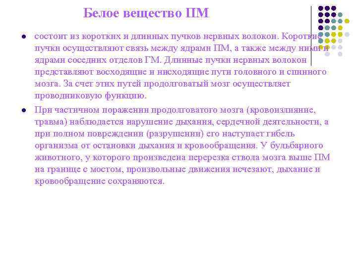Белое вещество ПМ l состоит из коротких и длинных Белое вещество ПМ l состоит из коротких и длинных
