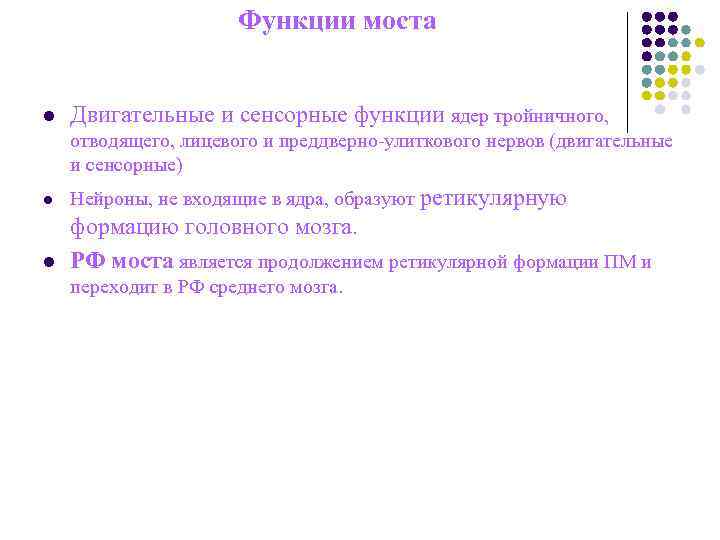 Функции моста l Двигательные и сенсорные функции Функции моста l Двигательные и сенсорные функции