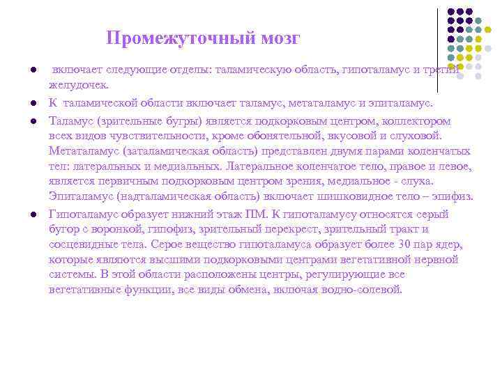 Промежуточный мозг l включает следующие отделы: таламическую область, гипоталамус и Промежуточный мозг l включает следующие отделы: таламическую область, гипоталамус и