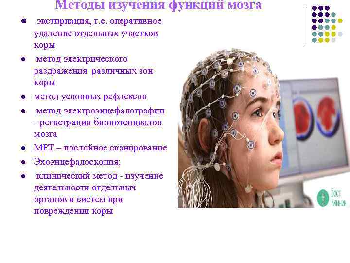 Методы изучения функций мозга l экстирпация, т. е. оперативное удаление Методы изучения функций мозга l экстирпация, т. е. оперативное удаление