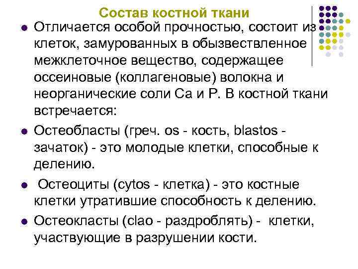     Состав костной ткани l  Отличается особой прочностью, состоит из