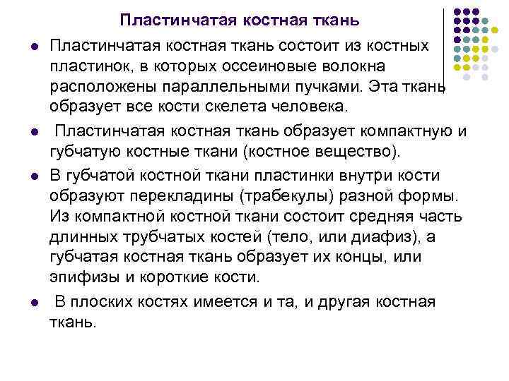   Пластинчатая костная ткань l  Пластинчатая костная ткань состоит из костных пластинок,