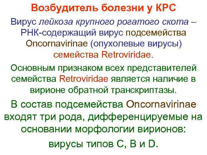  Возбудитель болезни у КРС Вирус лейкоза крупного рогатого скота – РНК-содержащий вирус подсемейства