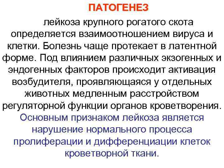    ПАТОГЕНЕЗ   лейкоза крупного рогатого скота  определяется взаимоотношением вируса