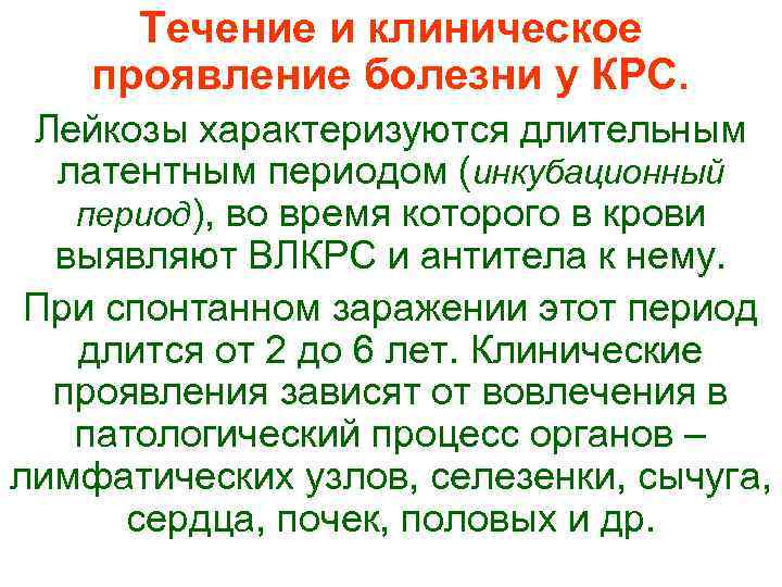  Течение и клиническое проявление болезни у КРС.  Лейкозы характеризуются длительным  латентным