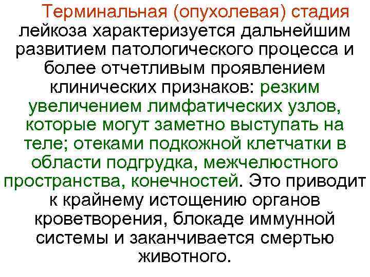  Терминальная (опухолевая) стадия  лейкоза характеризуется дальнейшим  развитием патологического процесса и 