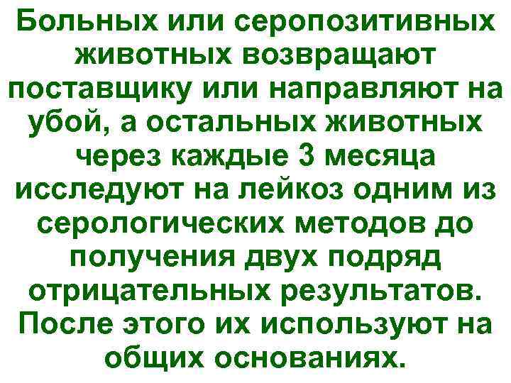 Больных или серопозитивных животных возвращают поставщику или направляют на  убой, а остальных животных