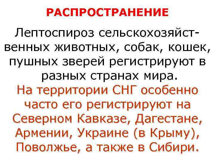  РАСПРОСТРАНЕНИЕ  Лептоспироз сельскохозяйст- венных животных, собак, кошек,  пушных зверей регистрируют в