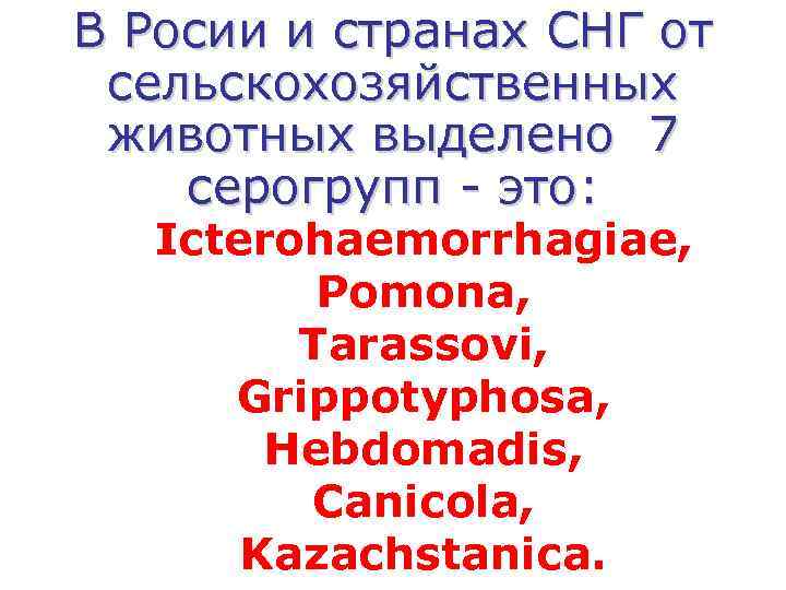 В Росии и странах СНГ от сельскохозяйственных животных выделено 7 серогрупп - это: Icterohaemorrhagiae,