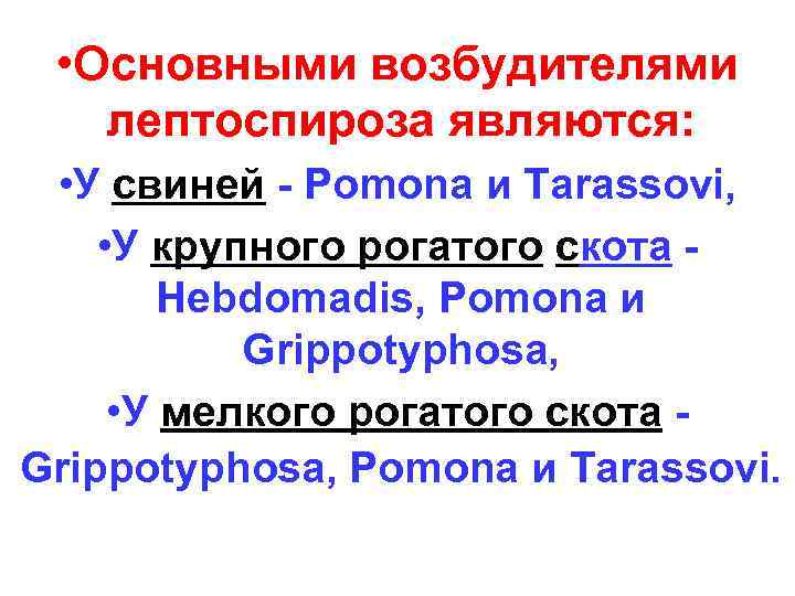  • Основными возбудителями  лептоспироза являются:  • У свиней - Pomona и