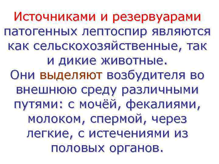  Источниками и резервуарами патогенных лептоспир являются как сельскохозяйственные, так  и дикие животные.