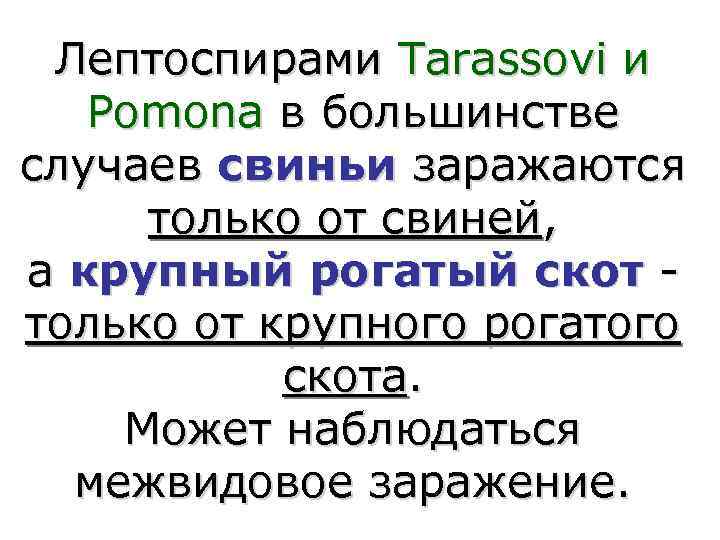  Лептоспирами Tarassovi и  Pomona в большинстве случаев свиньи заражаются только от свиней,