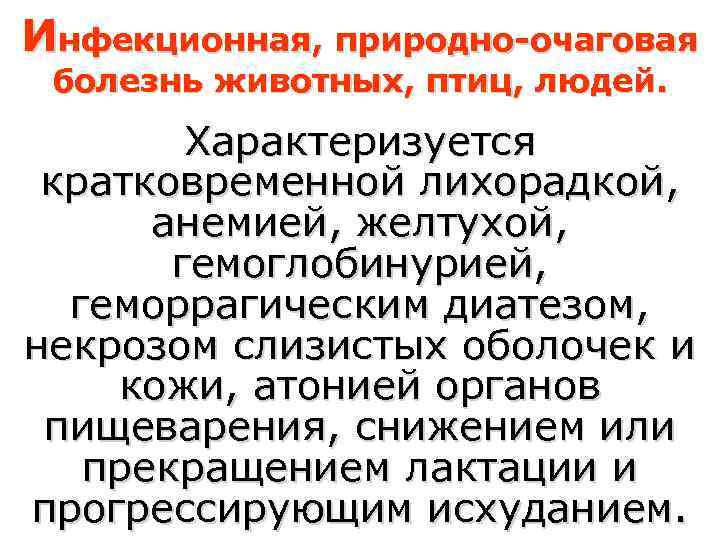 Инфекционная, природно-очаговая болезнь животных, птиц, людей.   Характеризуется кратковременной лихорадкой,  анемией, желтухой,