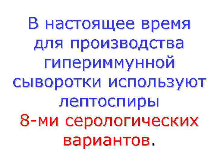  В настоящее время  для производства гипериммунной сыворотки используют  лептоспиры 8 -ми