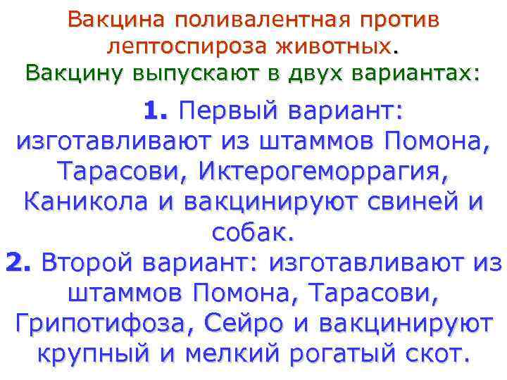   Вакцина поливалентная против  лептоспироза животных.  Вакцину выпускают в двух вариантах: