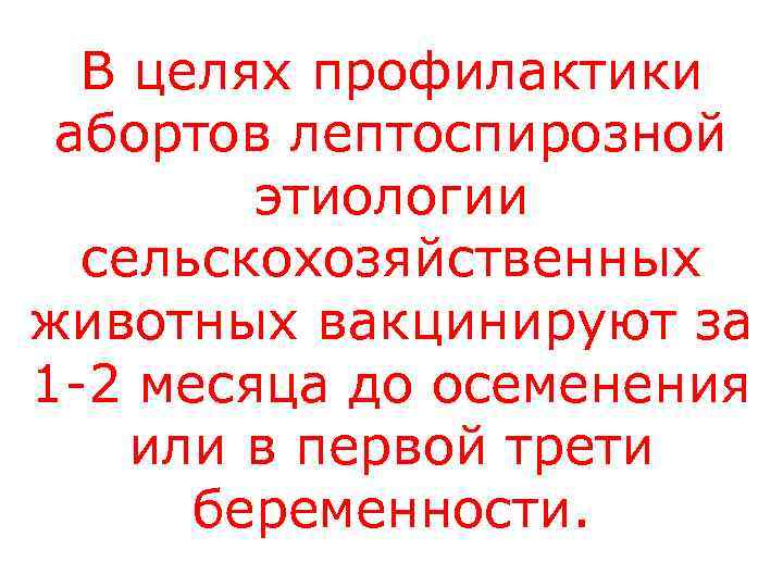 В целях профилактики абортов лептоспирозной   этиологии  сельскохозяйственных животных вакцинируют за