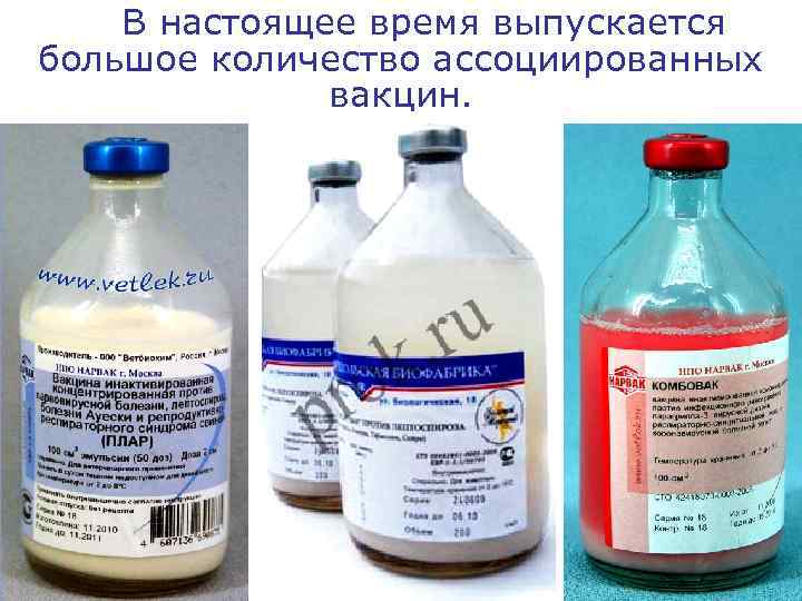   В настоящее время выпускается большое количество ассоциированных    вакцин. 