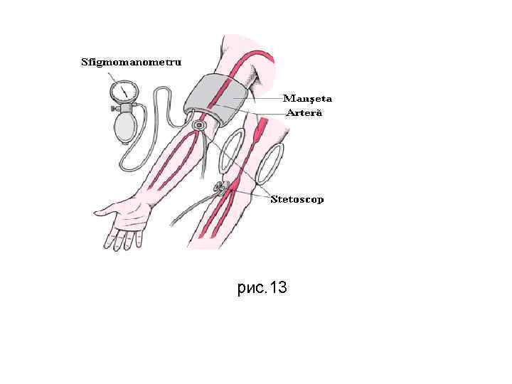 рис. 13 рис. 13