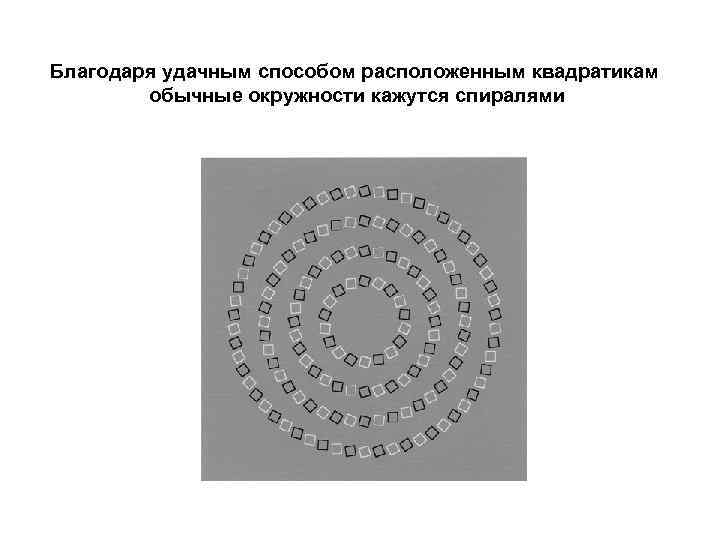 Благодаря удачным способом расположенным квадратикам   обычные окружности кажутся спиралями 