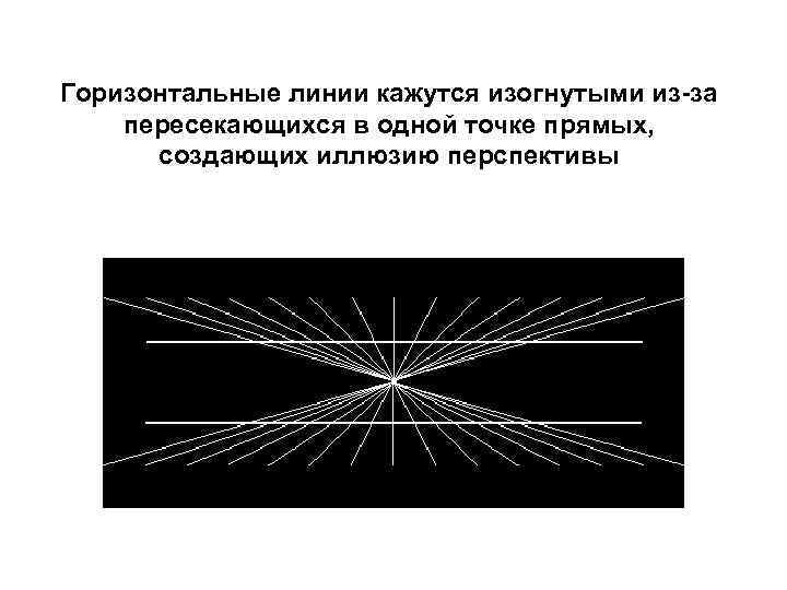 Горизонтальные линии кажутся изогнутыми из-за пересекающихся в одной точке прямых,   создающих иллюзию