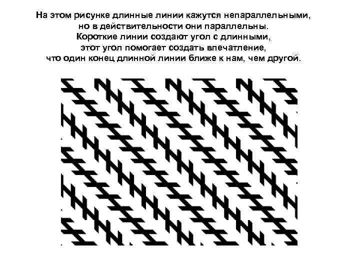 На этом рисунке длинные линии кажутся непараллельными,  но в действительности они параллельны. 