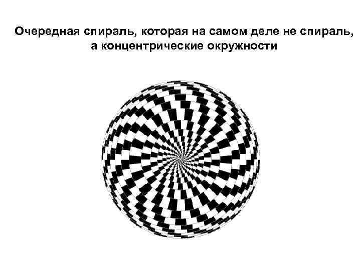 Очередная спираль, которая на самом деле не спираль,   а концентрические окружности 